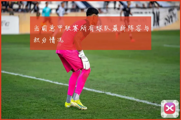 当前意甲联赛所有球队最新阵容与积分情况